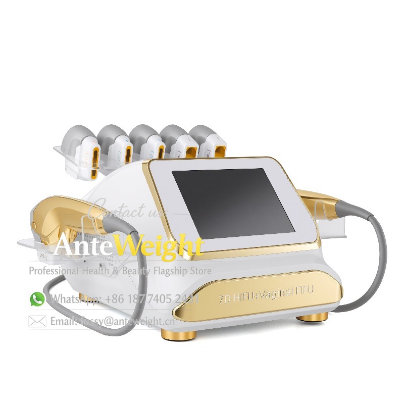 Professionelles Gerät für den  – Hifu Machine 7D Face Lifting Bewertung und Preis